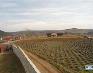 Ház 6 szobák eladó on Savadisla