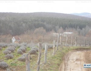 Ház 6 szobák eladó on Savadisla