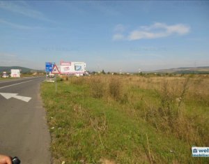 Terrain à vendre dans Floresti