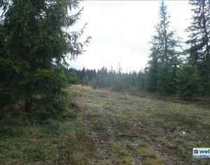 Telek eladó on Belis