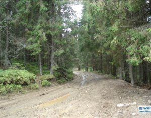 Telek eladó on Belis