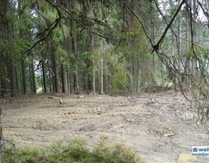 Telek eladó on Belis