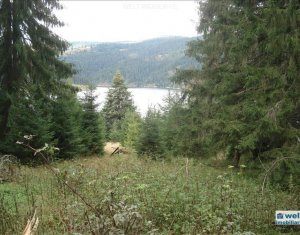 Telek eladó on Belis