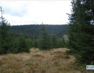 Telek eladó on Belis