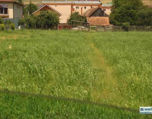 Terrain à vendre dans Floresti