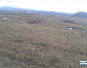 Terrain à vendre dans Cluj-napoca