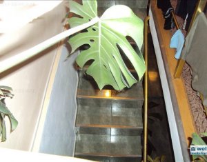 Ház 4 szobák eladó on Cluj-napoca, Zóna Bulgaria