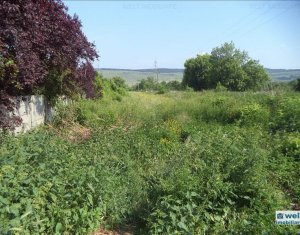 , 5650m2 dans Floresti
