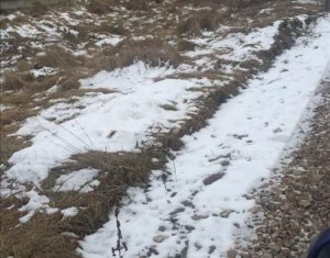 Terrain à vendre dans Floresti