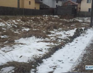 Terrain à vendre dans Floresti