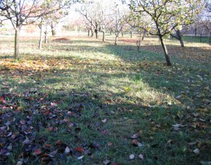 Terrain à vendre dans Feleacu