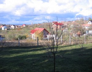 Terrain à vendre dans Feleacu