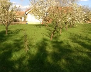 Terrain à vendre dans Feleacu