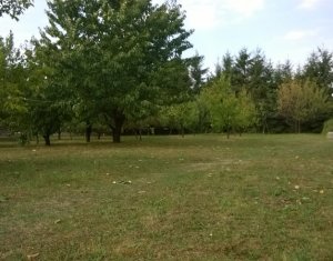 Terrain à vendre dans Feleacu