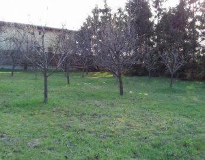 Terrain à vendre dans Feleacu