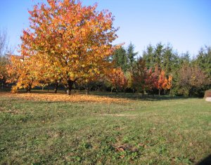 , 2180m2 dans Feleacu