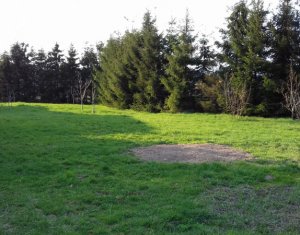 Terrain à vendre dans Feleacu