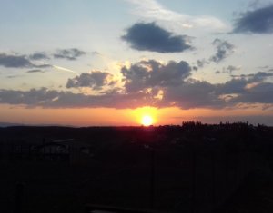 Terrain à vendre dans Feleacu