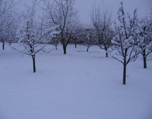 Terrain à vendre dans Feleacu