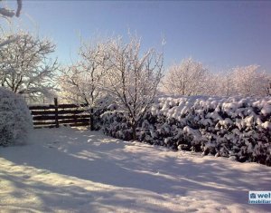 Terrain à vendre dans Feleacu