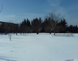 Terrain à vendre dans Feleacu