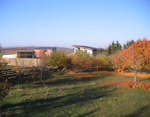 Terrain à vendre dans Feleacu