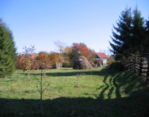 Terrain à vendre dans Feleacu