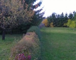 Terrain à vendre dans Feleacu