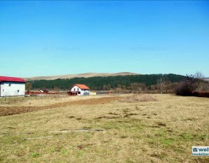 Terrain à vendre dans Gilau