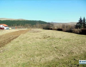 Terrain à vendre dans Gilau