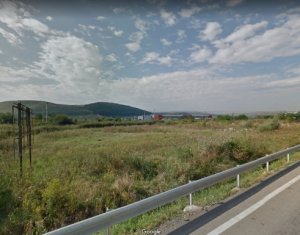 Terrain à vendre dans Cluj-napoca, zone Apahida