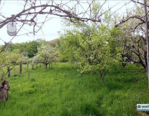 Maison 3 chambres à vendre dans Gilau
