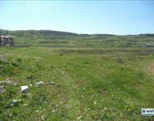 , 3800m2 dans Floresti