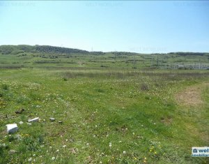 Terrain à vendre dans Floresti