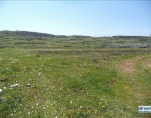 Terrain à vendre dans Floresti