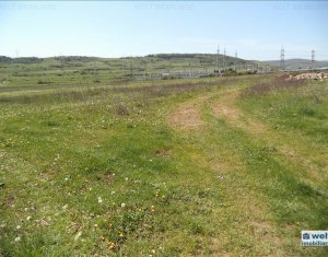 Terrain à vendre dans Floresti