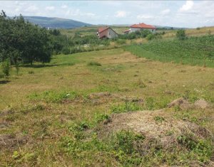 , 2052m2 on Cluj-napoca, Zóna Borhanci