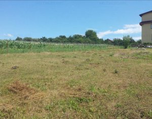 Telek eladó on Cluj-napoca, Zóna Borhanci