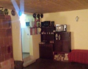 Maison 3 chambres à vendre dans Baisoara