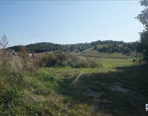 Telek eladó on Floresti