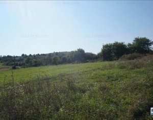 Telek eladó on Floresti