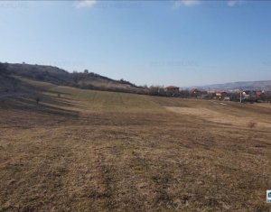 , 4000m2 dans Floresti