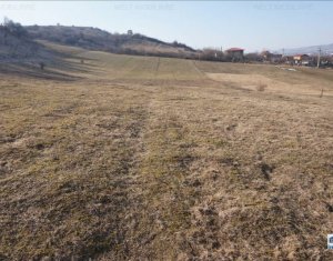 Telek eladó on Floresti