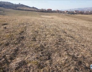 Telek eladó on Floresti