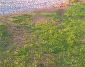 Telek eladó on Gilau