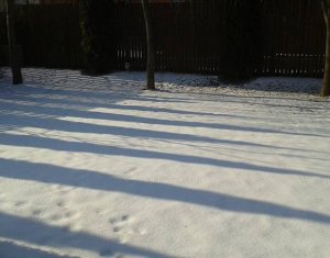 Maison 5 chambres à vendre dans Floresti