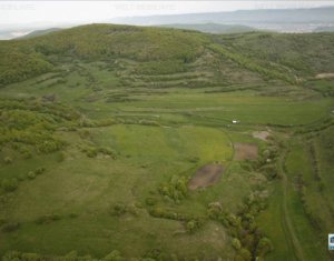Terrain à vendre dans Tauti
