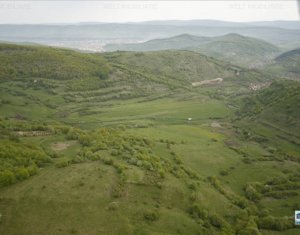 Terrain à vendre dans Tauti
