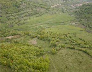 Terrain à vendre dans Tauti
