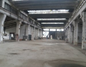 Hala 1700mp + birouri,  platforma betonata TIR, pod rulant 16to zona Baciu